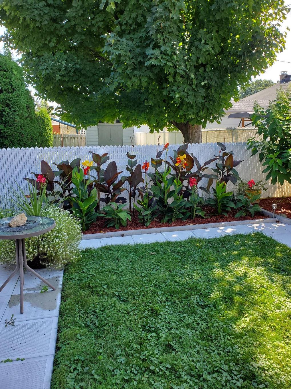 Jardin - 235 Rue De La Madone, Trois-Rivières, QC - Outdoor