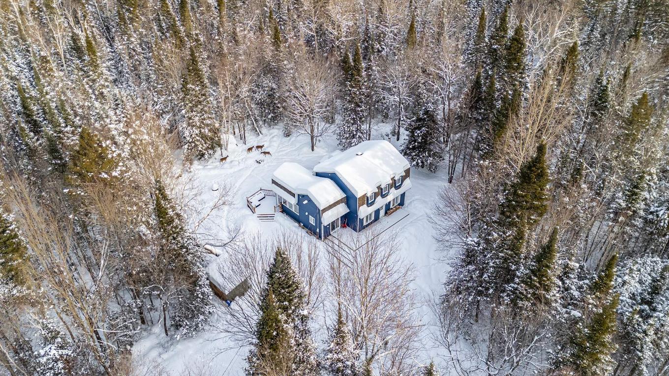 Photo aérienne - 4760 Ch. De La Doncaster, Sainte-Adèle, QC - Outdoor With View