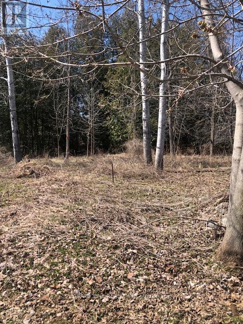 35A Cloverloft Court, Ottawa, ON