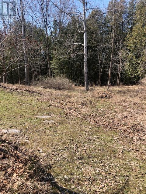 35A Cloverloft Court, Ottawa, ON