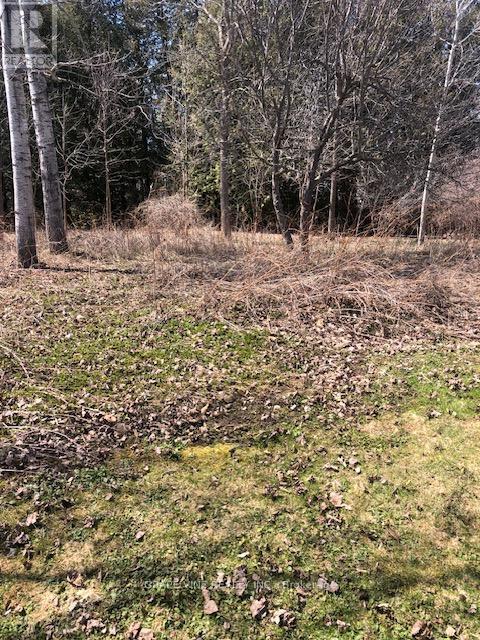 35A Cloverloft Court, Ottawa, ON