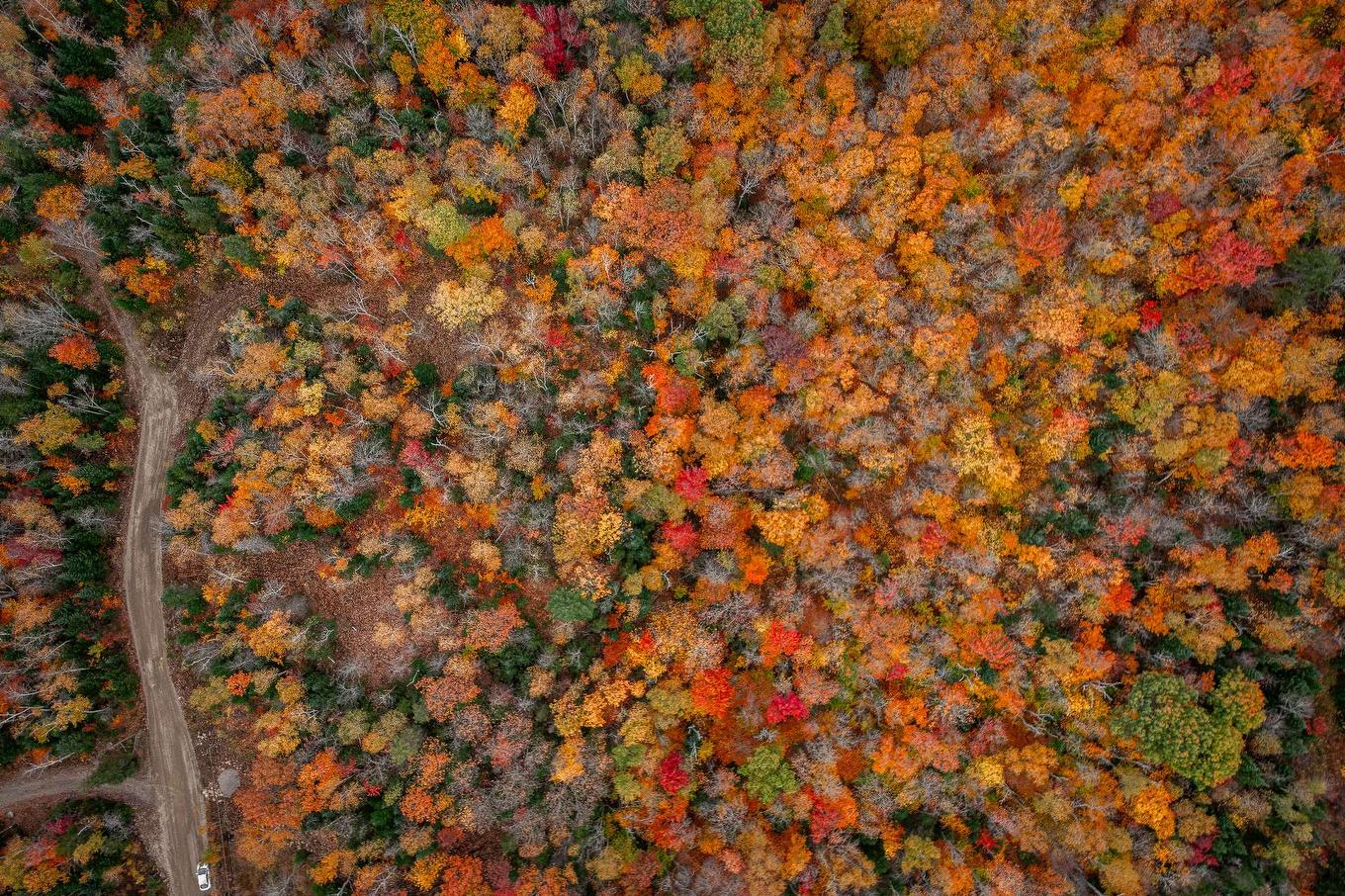 Land/Lot - Ch. Martin-Prévost, Sainte-Béatrix, QC - Outdoor