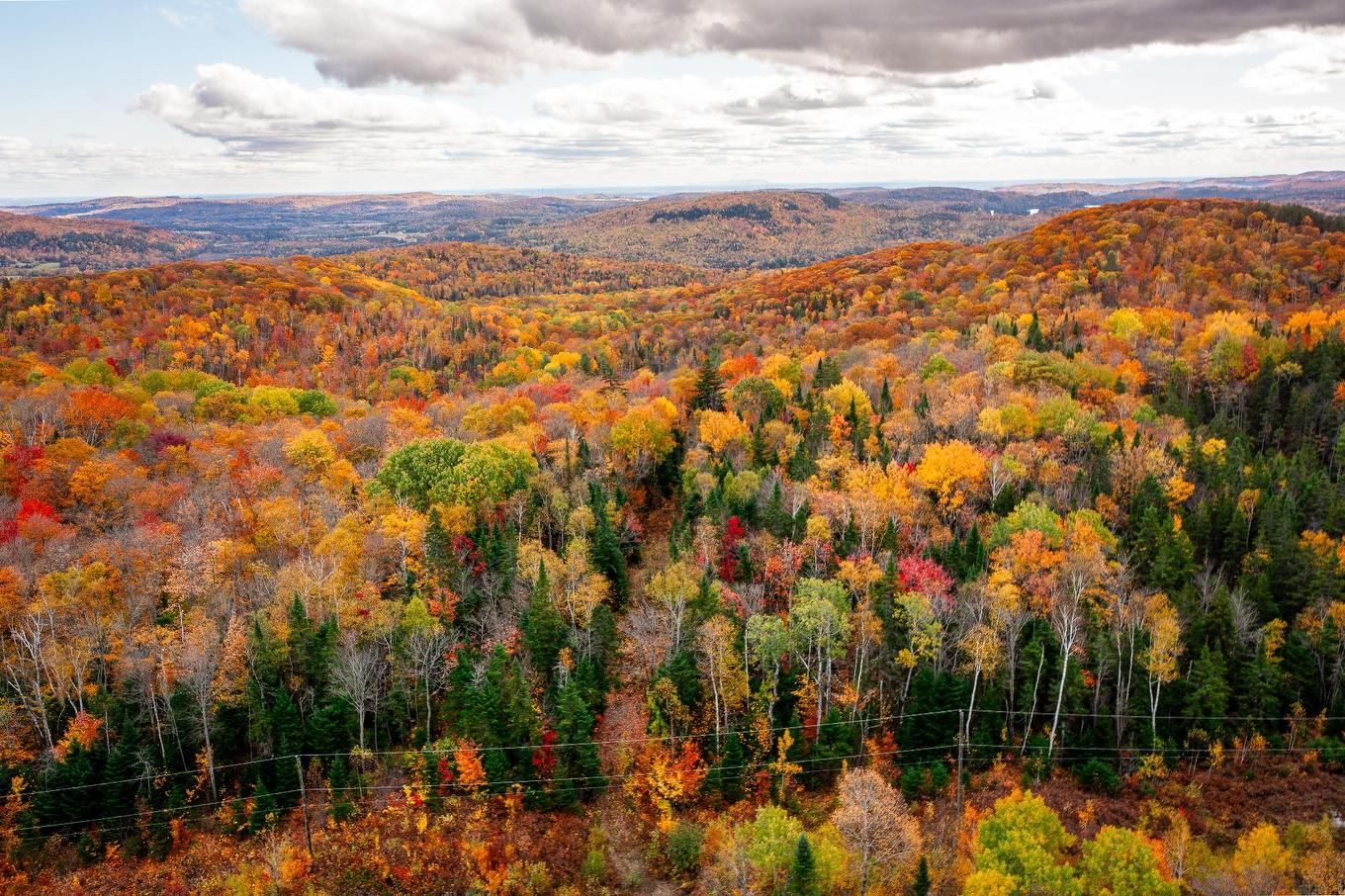 Land/Lot - Ch. Martin-Prévost, Sainte-Béatrix, QC - Outdoor With View