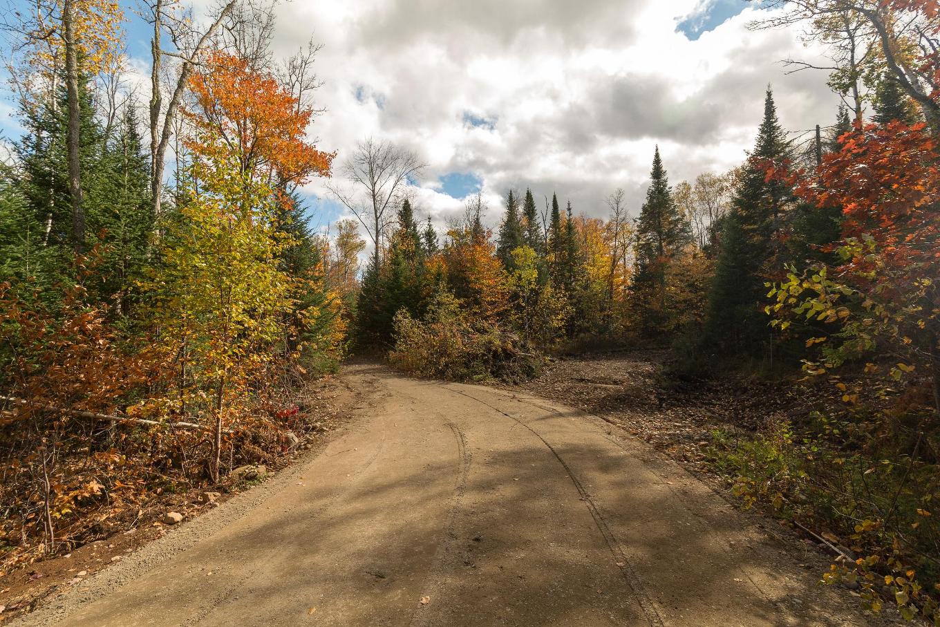 Street - Ch. Martin-Prévost, Sainte-Béatrix, QC - Outdoor With View