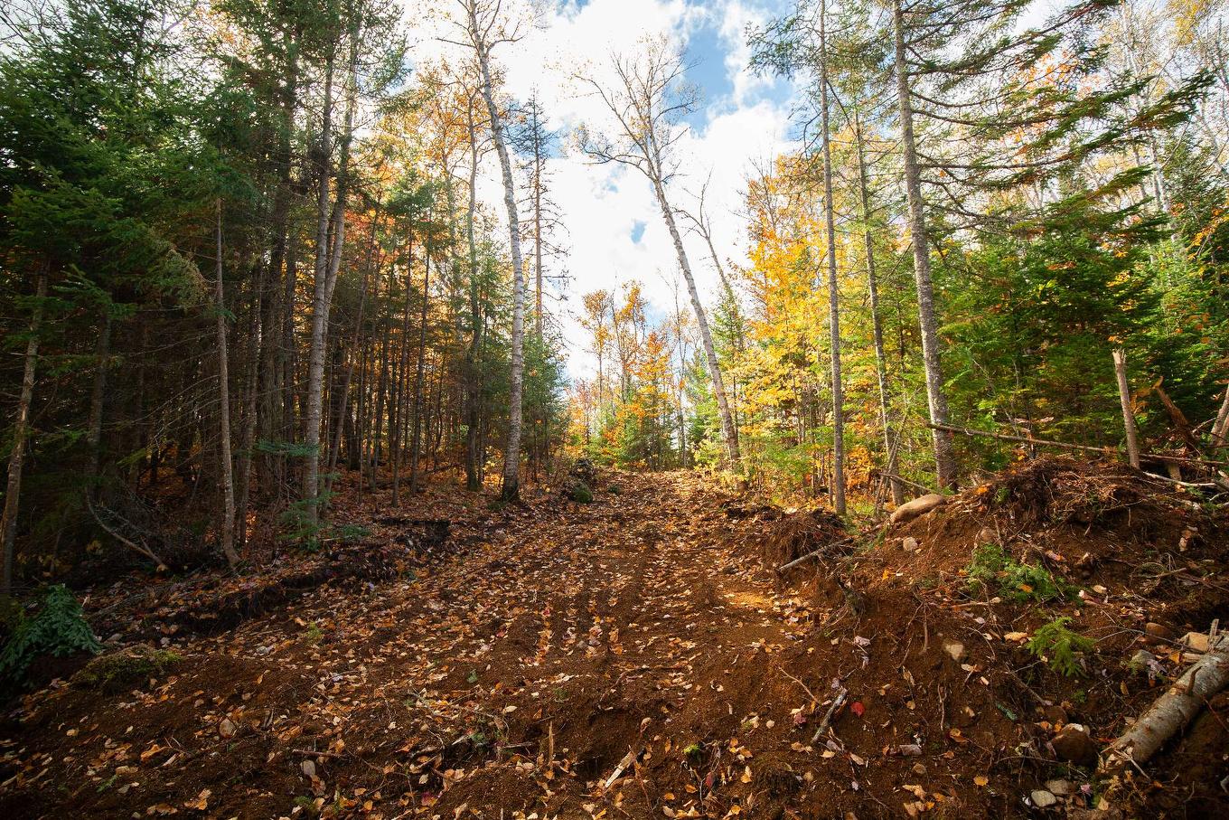 Land/Lot - Ch. Martin-Prévost, Sainte-Béatrix, QC - Outdoor With View