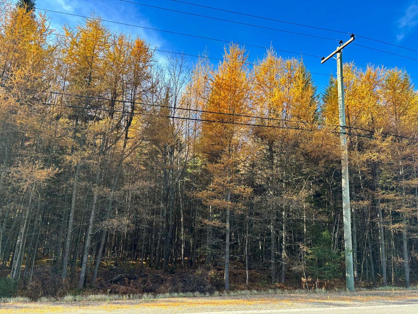 Terre/Terrain - Route Du Petit-Moulin, Saint-Bruno-De-Kamouraska, QC