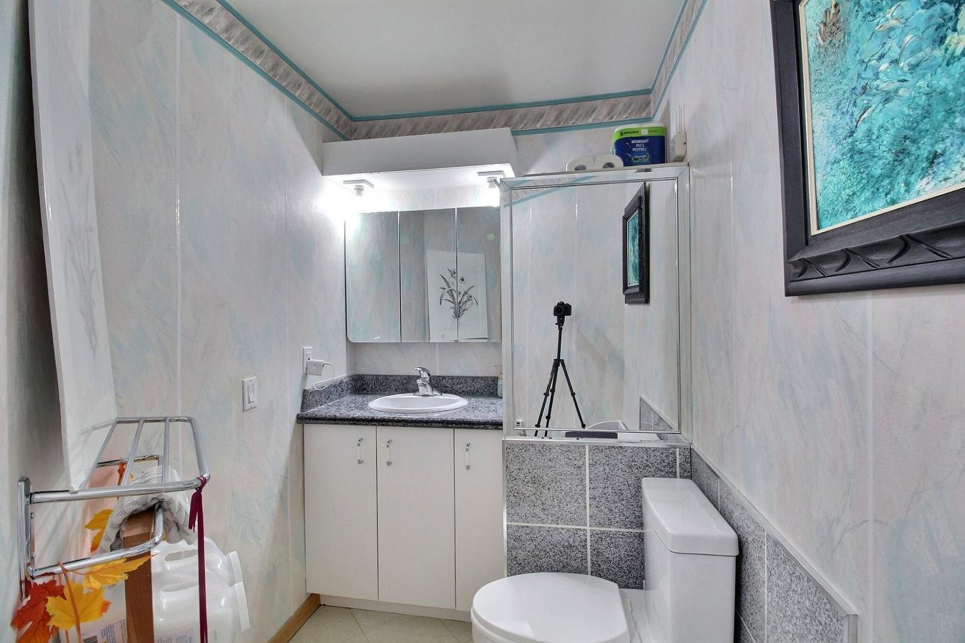 Powder room - 102-190 Rue Don-Bosco N., Sherbrooke (Les Nations), QC - Indoor Photo Showing Bathroom