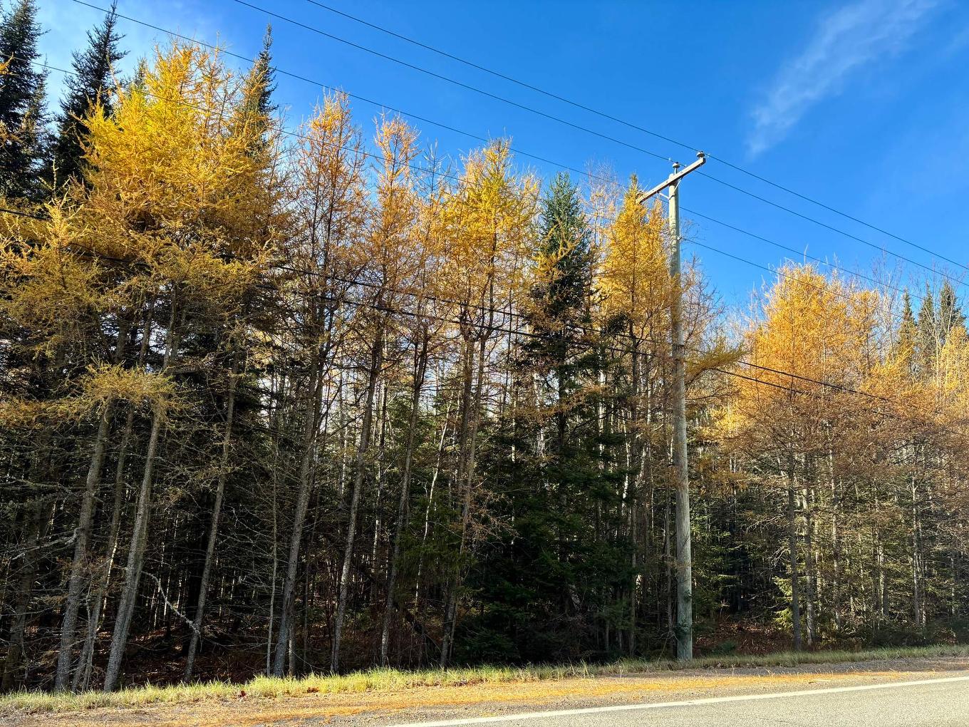 Terre/Terrain - Route Du Petit-Moulin, Saint-Bruno-De-Kamouraska, QC