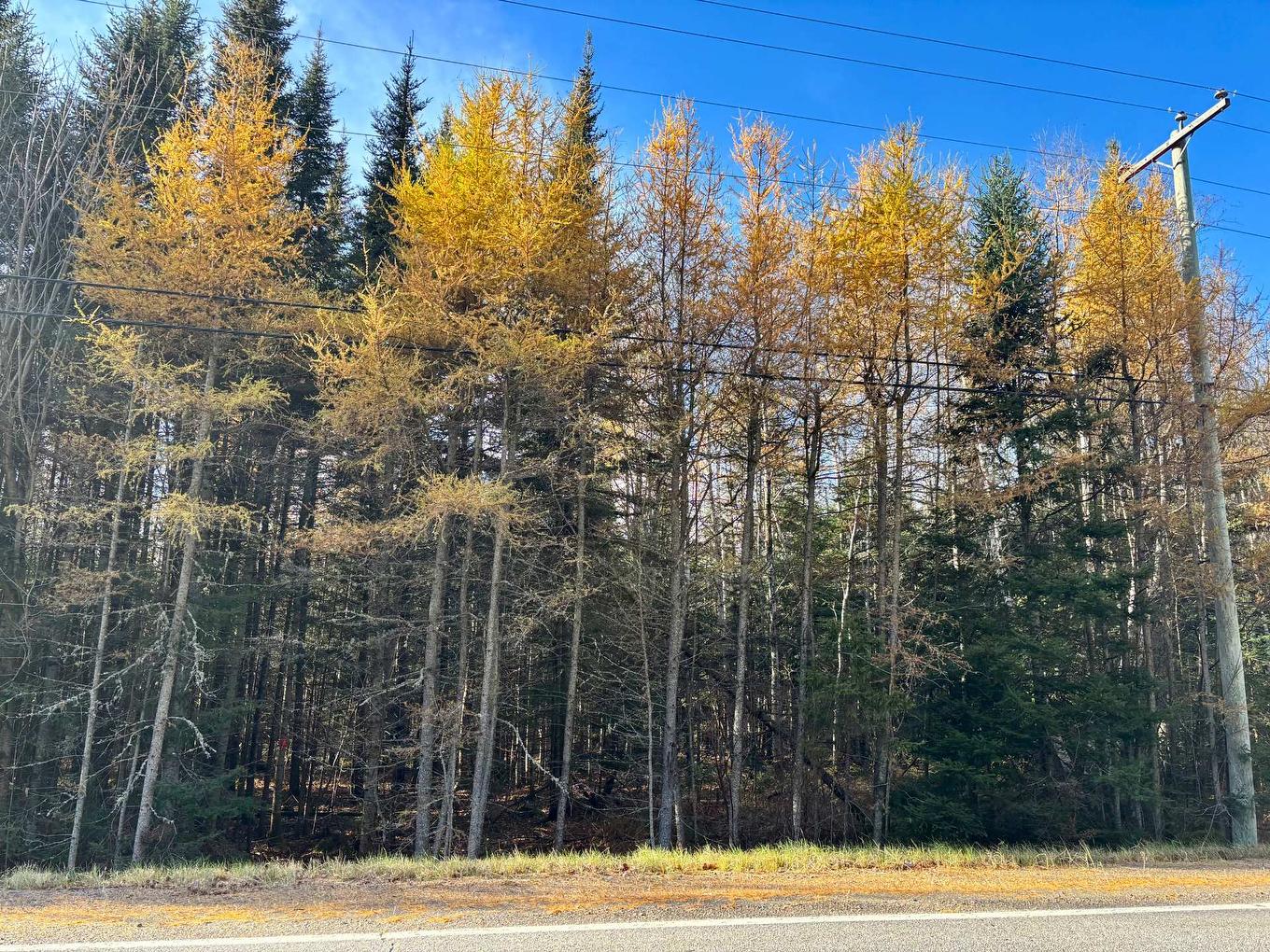 Terre/Terrain - Route Du Petit-Moulin, Saint-Bruno-De-Kamouraska, QC