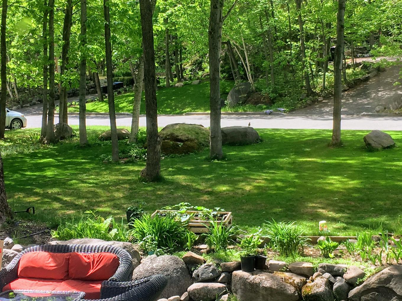 Extérieur - 386 Rue De La Corniche, Lévis (Les Chutes-De-La-Chaudière-Ouest), QC - Outdoor