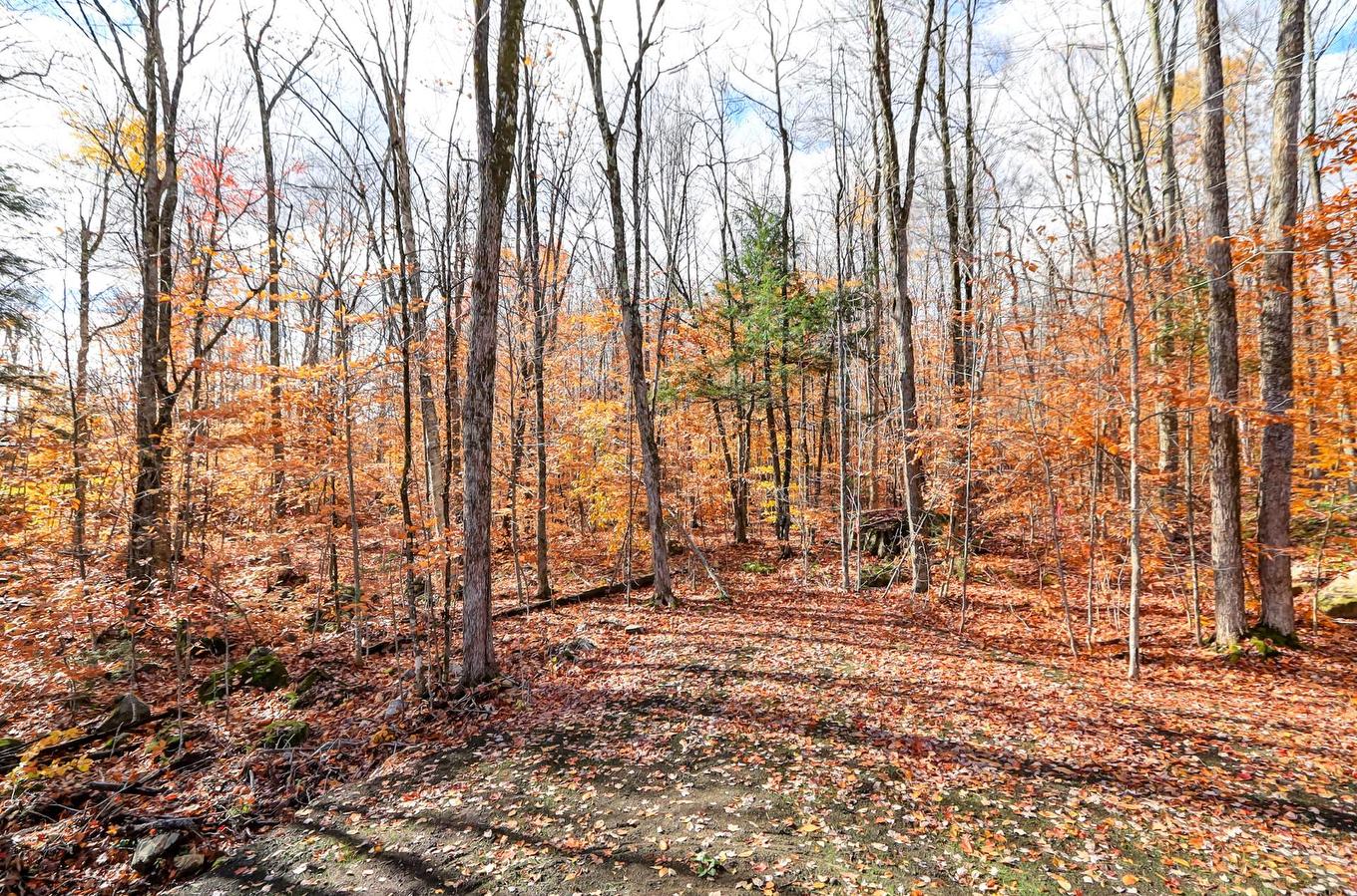 Cour - 84 12E Avenue, Saint-Hippolyte, QC - Outdoor With View