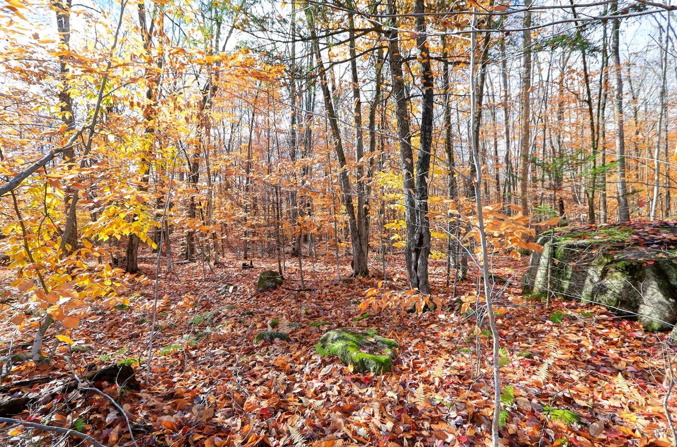 Cour - 84 12E Avenue, Saint-Hippolyte, QC - Outdoor