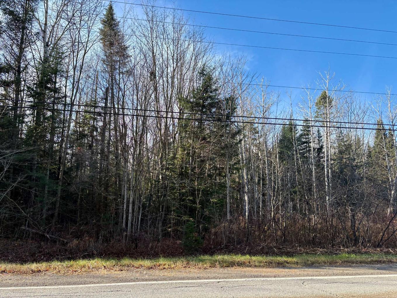 Land/Lot - Route Du Petit-Moulin, Saint-Bruno-De-Kamouraska, QC