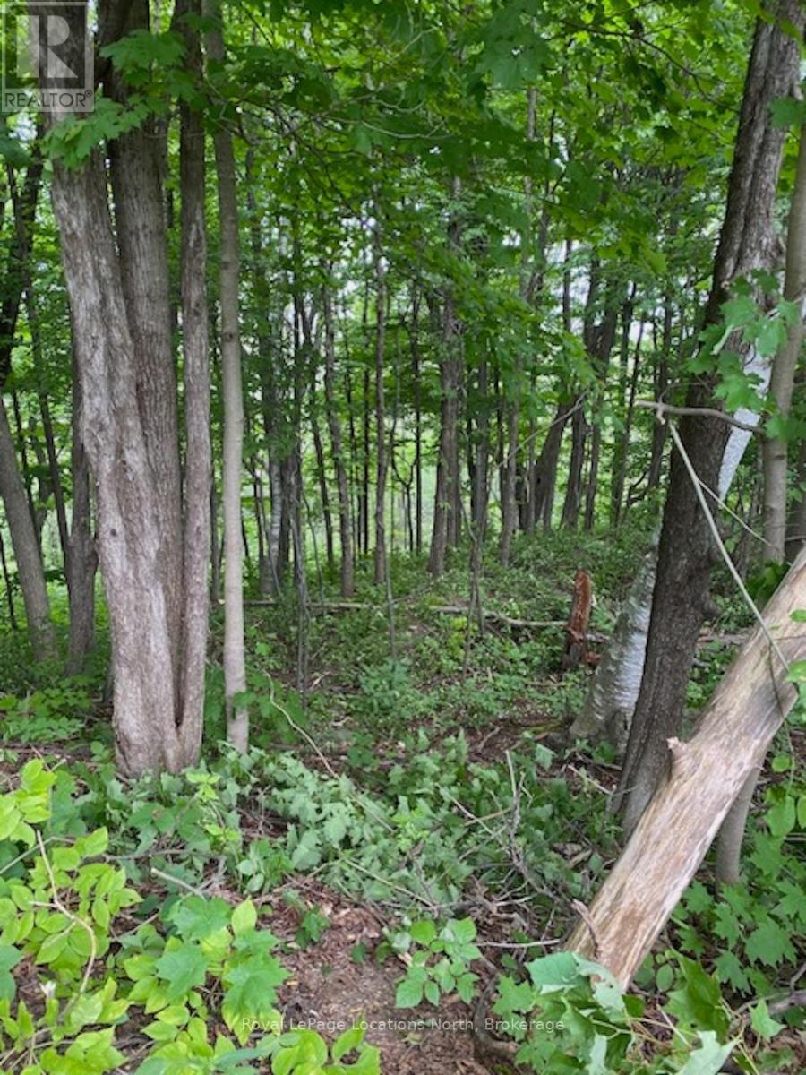 Ptlt 40 12 Concession, Blue Mountains, ON