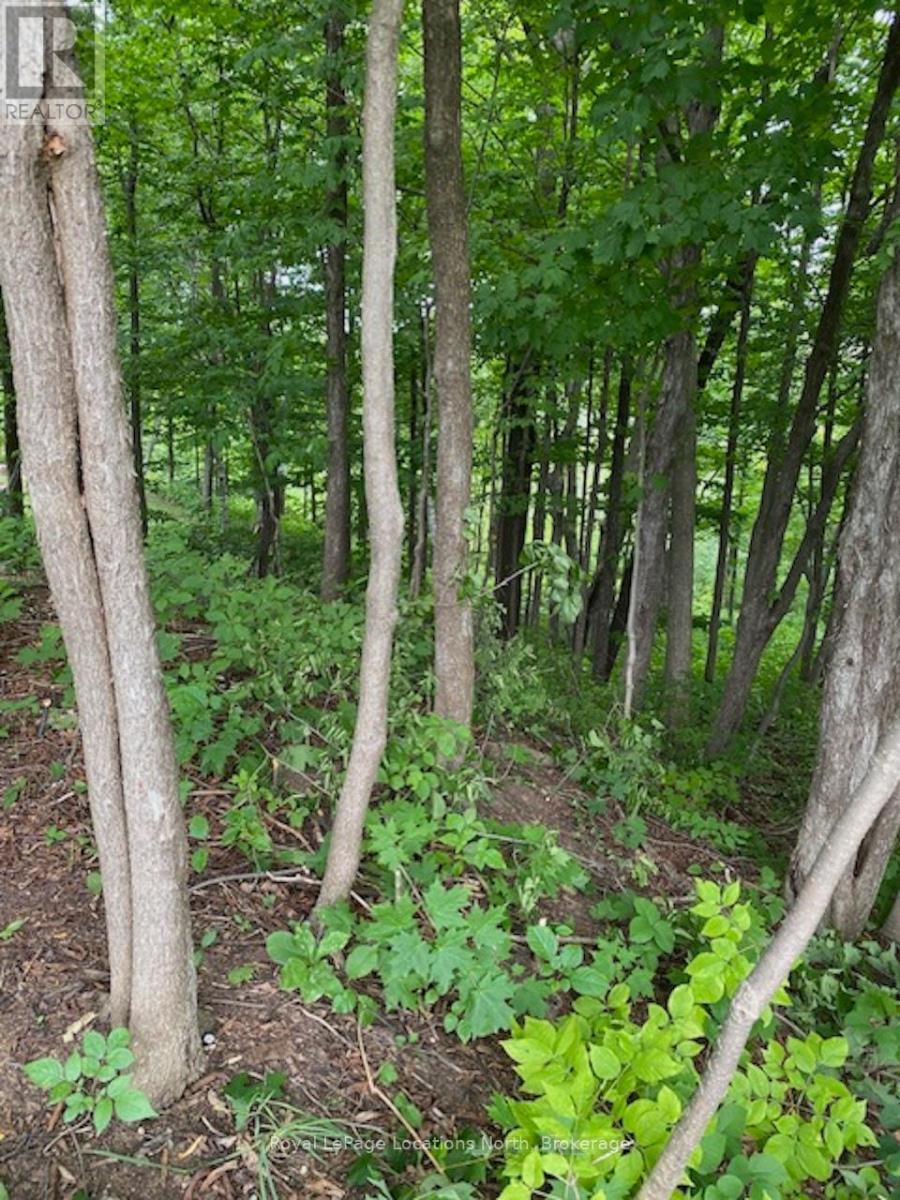 Ptlt 40 12 Concession, Blue Mountains, ON