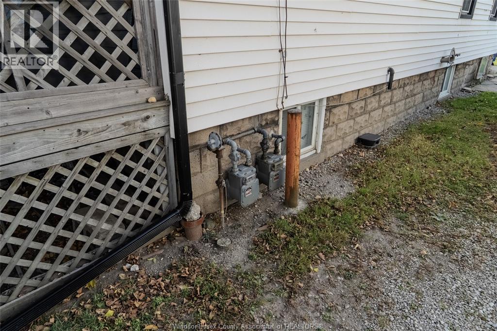 291-93 Belleview Avenue, Windsor, ON - Outdoor