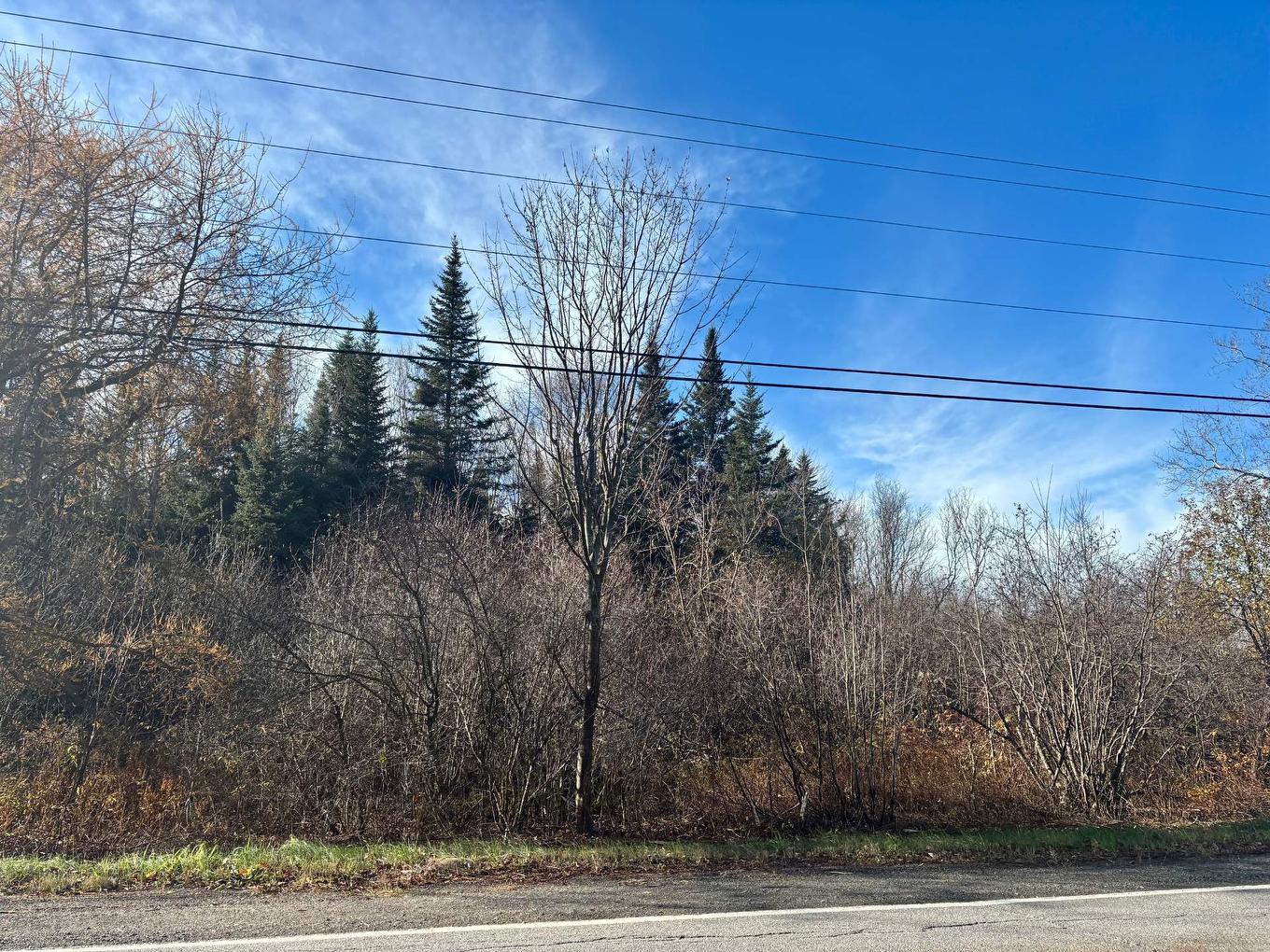 Land/Lot - Route Du Petit-Moulin, Saint-Bruno-De-Kamouraska, QC