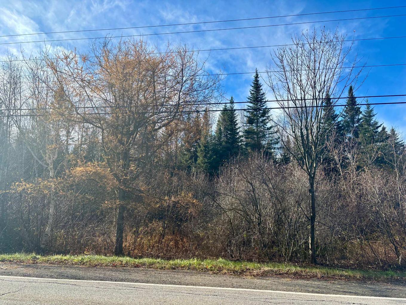 Land/Lot - Route Du Petit-Moulin, Saint-Bruno-De-Kamouraska, QC