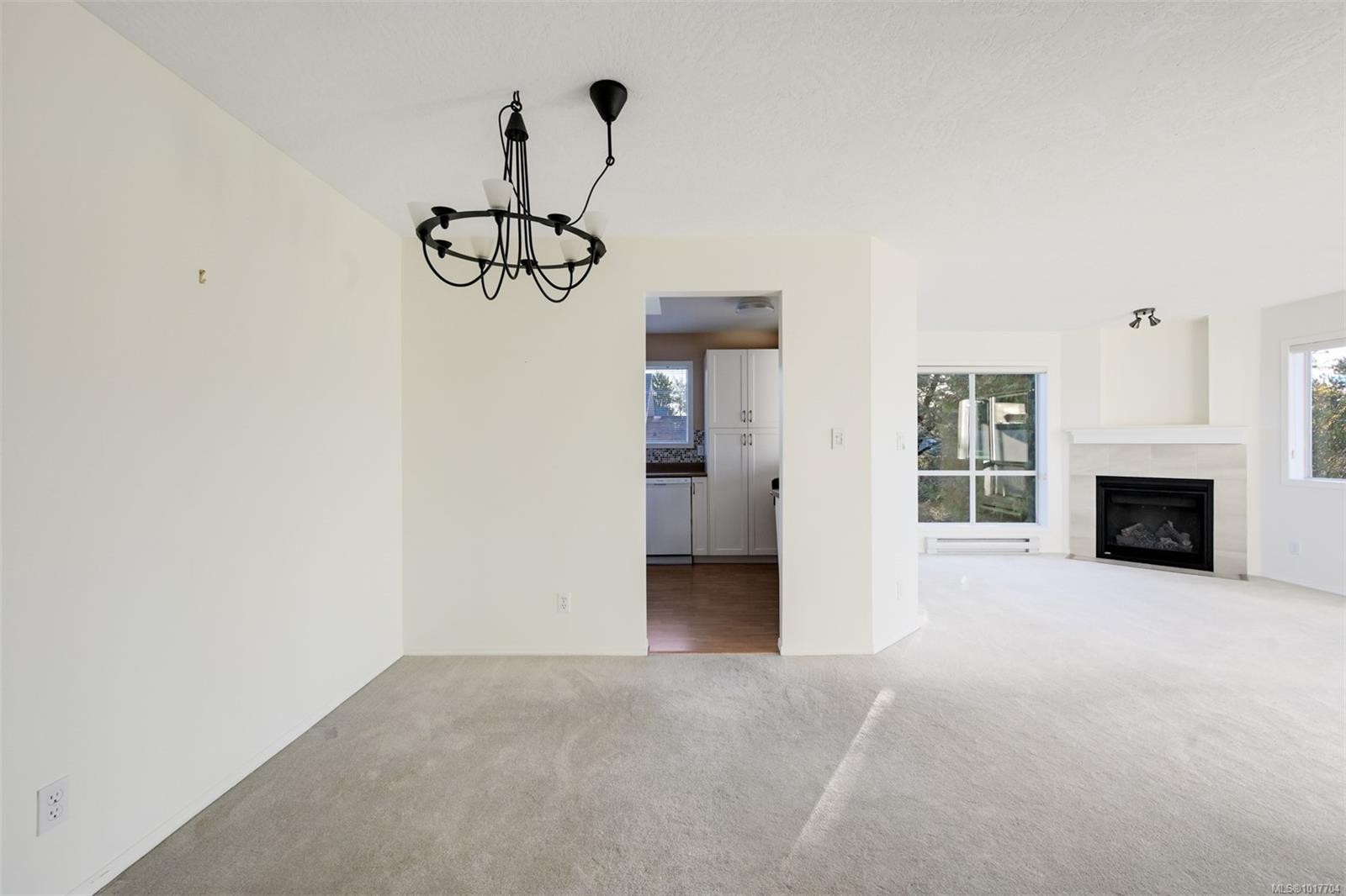302-1007 Caledonia Ave, Victoria, BC - Indoor With Fireplace