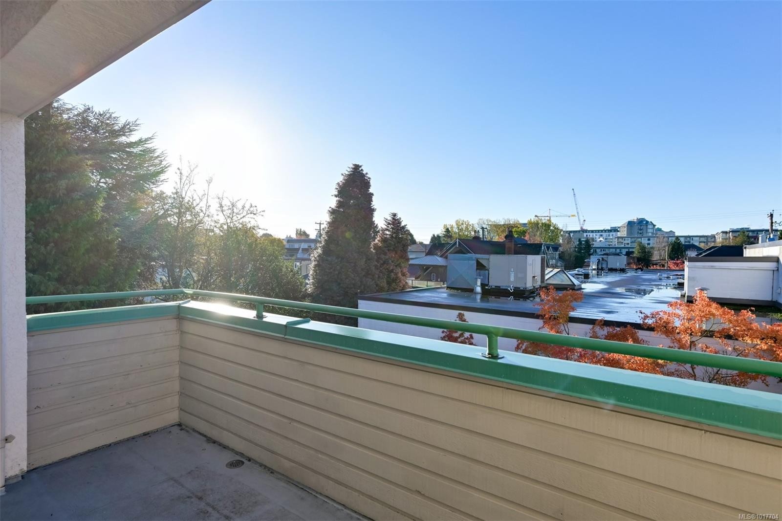 302-1007 Caledonia Ave, Victoria, BC - Outdoor