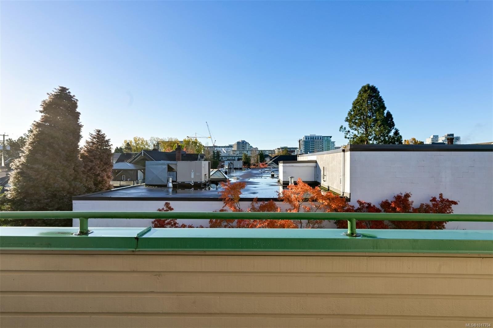 302-1007 Caledonia Ave, Victoria, BC - Outdoor