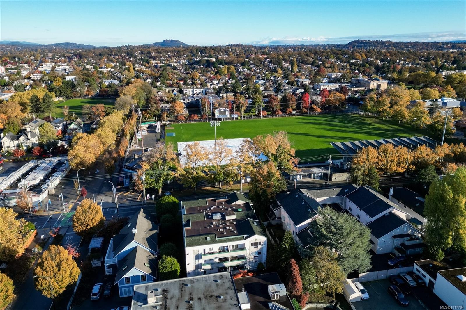 302-1007 Caledonia Ave, Victoria, BC - Outdoor With View