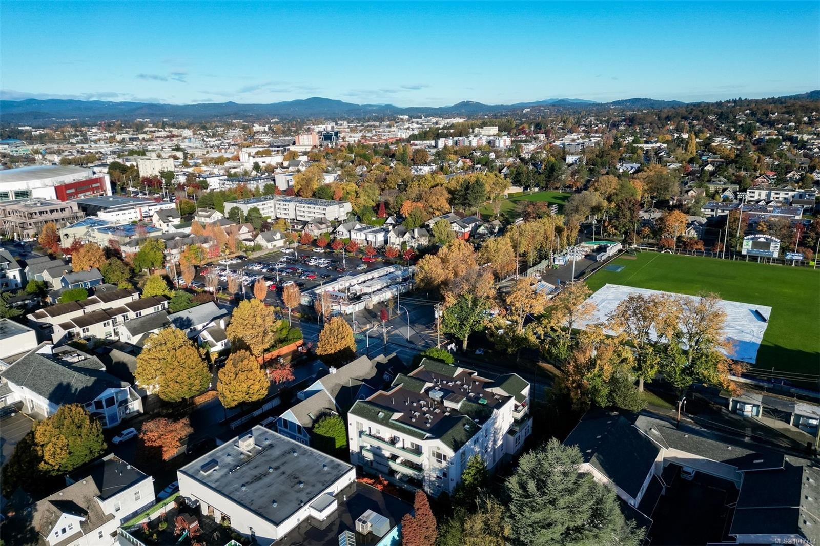 302-1007 Caledonia Ave, Victoria, BC - Outdoor With View
