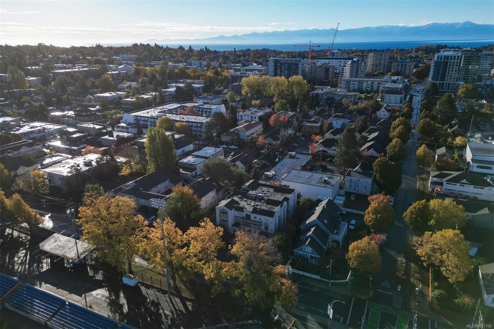 302-1007 Caledonia Ave, Victoria, BC - Outdoor With View