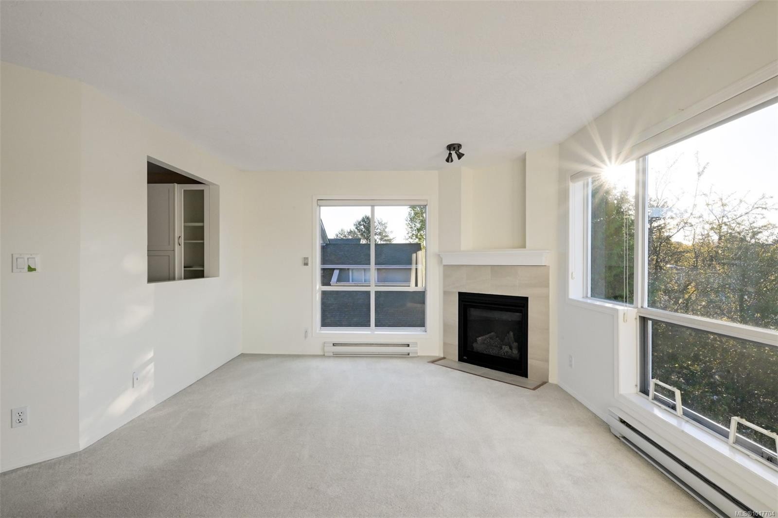 302-1007 Caledonia Ave, Victoria, BC - Indoor Photo Showing Living Room With Fireplace