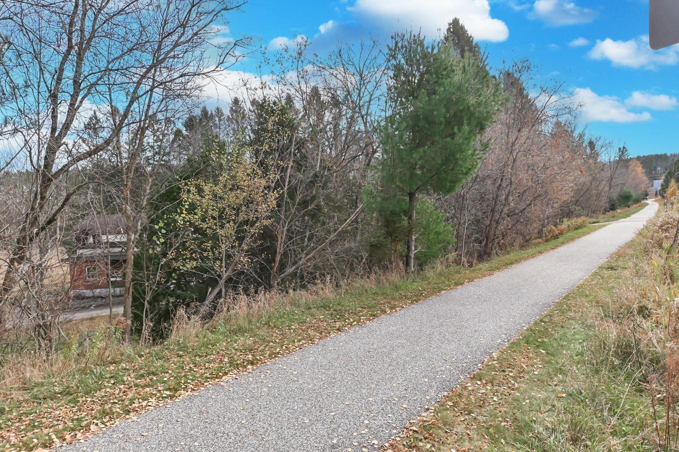 Overall view - 368 Rue L'Annonciation N., Rivière-Rouge, QC - Outdoor With View