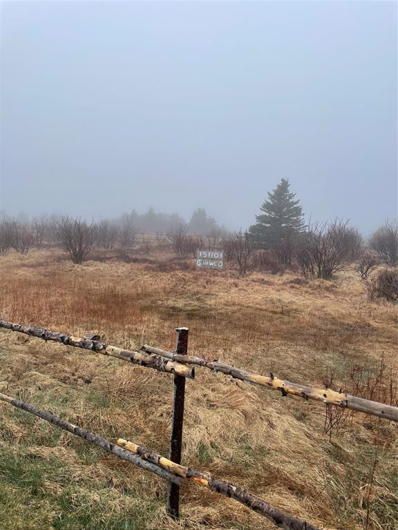 60-62 Murphy’S Lane, Bell Island, NL