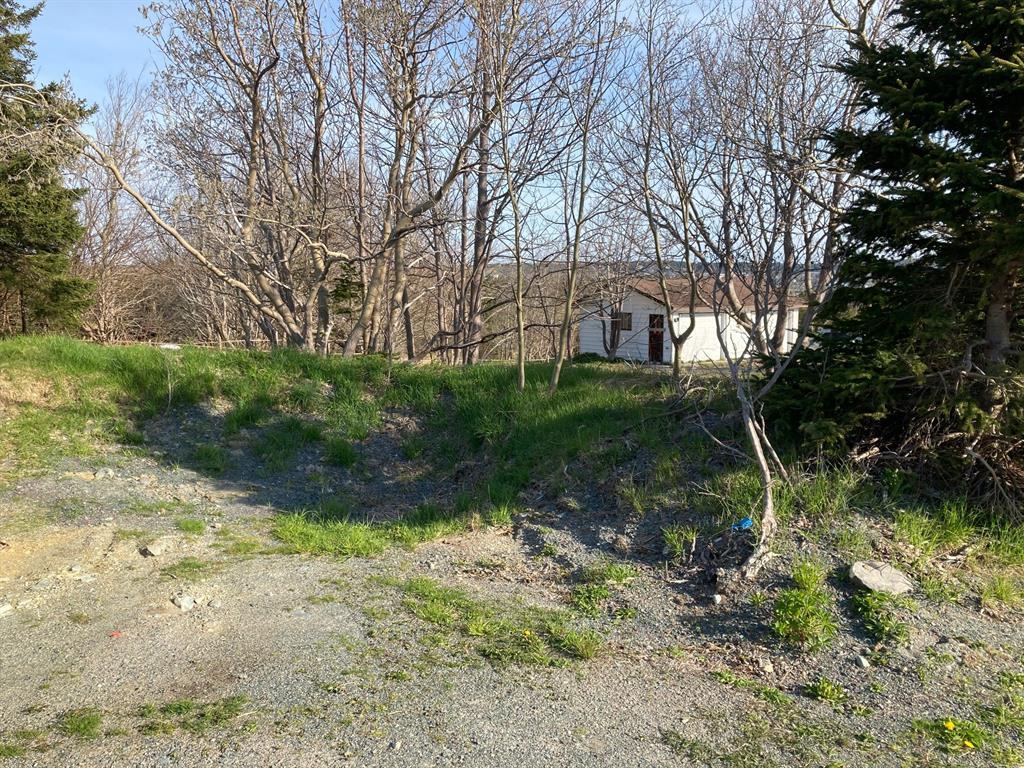 106 North Pond Road, Torbay, NL