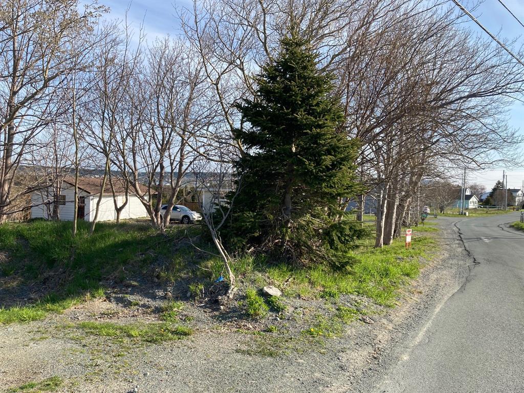 106 North Pond Road, Torbay, NL