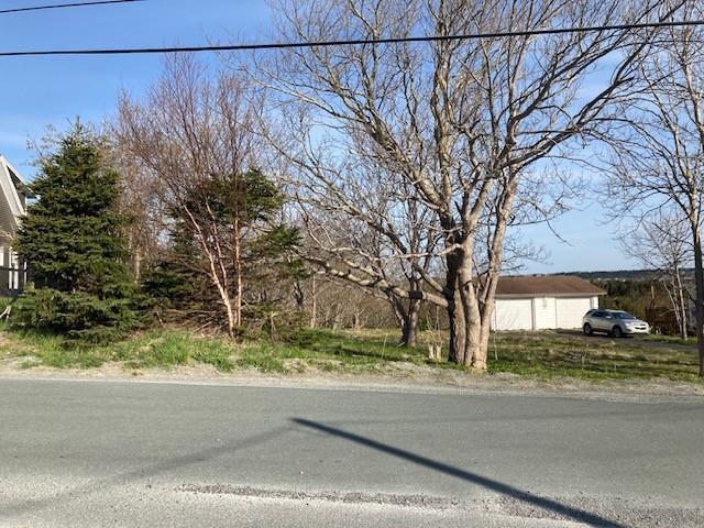 104 North Pond Road, Torbay, NL