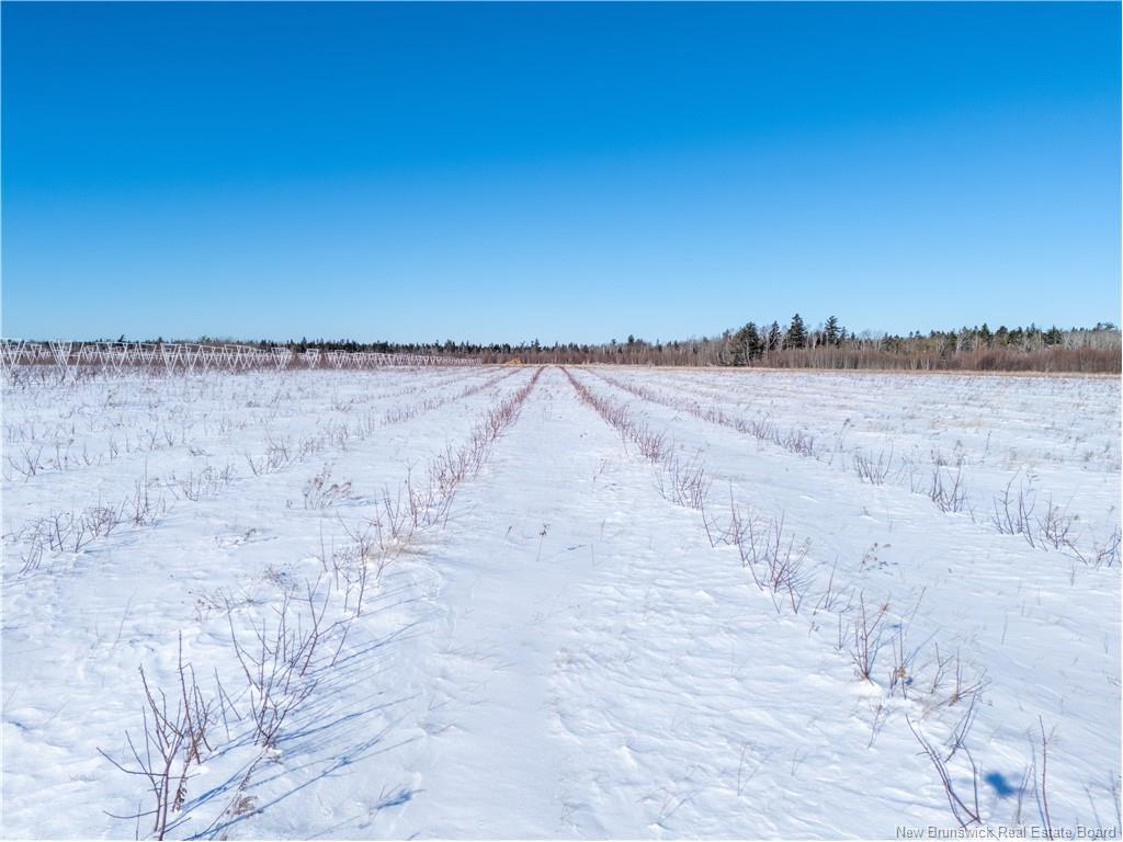 Lot Ch Perry, Sainte-Anne-De-Kent, NB