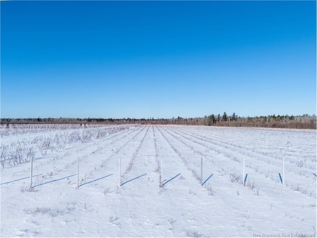 Lot Ch Perry, Sainte-Anne-De-Kent, NB