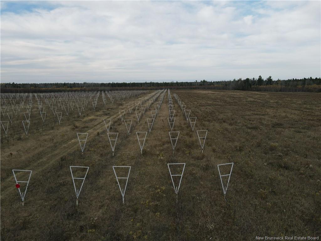 Lot Ch Perry, Sainte-Anne-De-Kent, NB