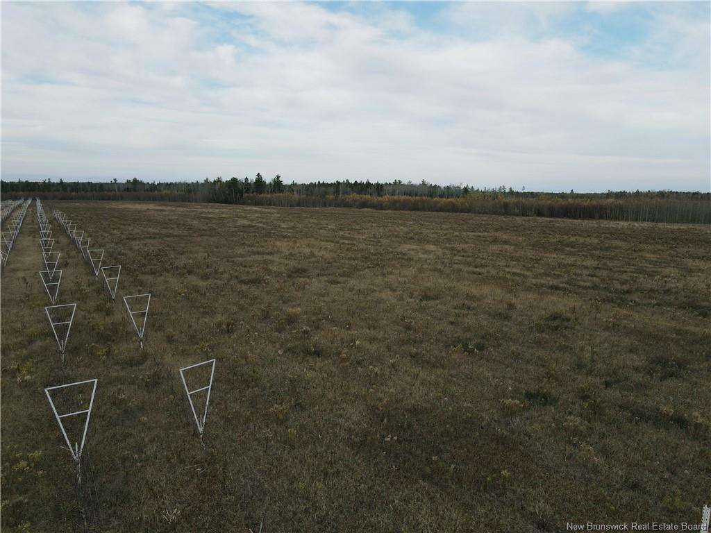 Lot Ch Perry, Sainte-Anne-De-Kent, NB
