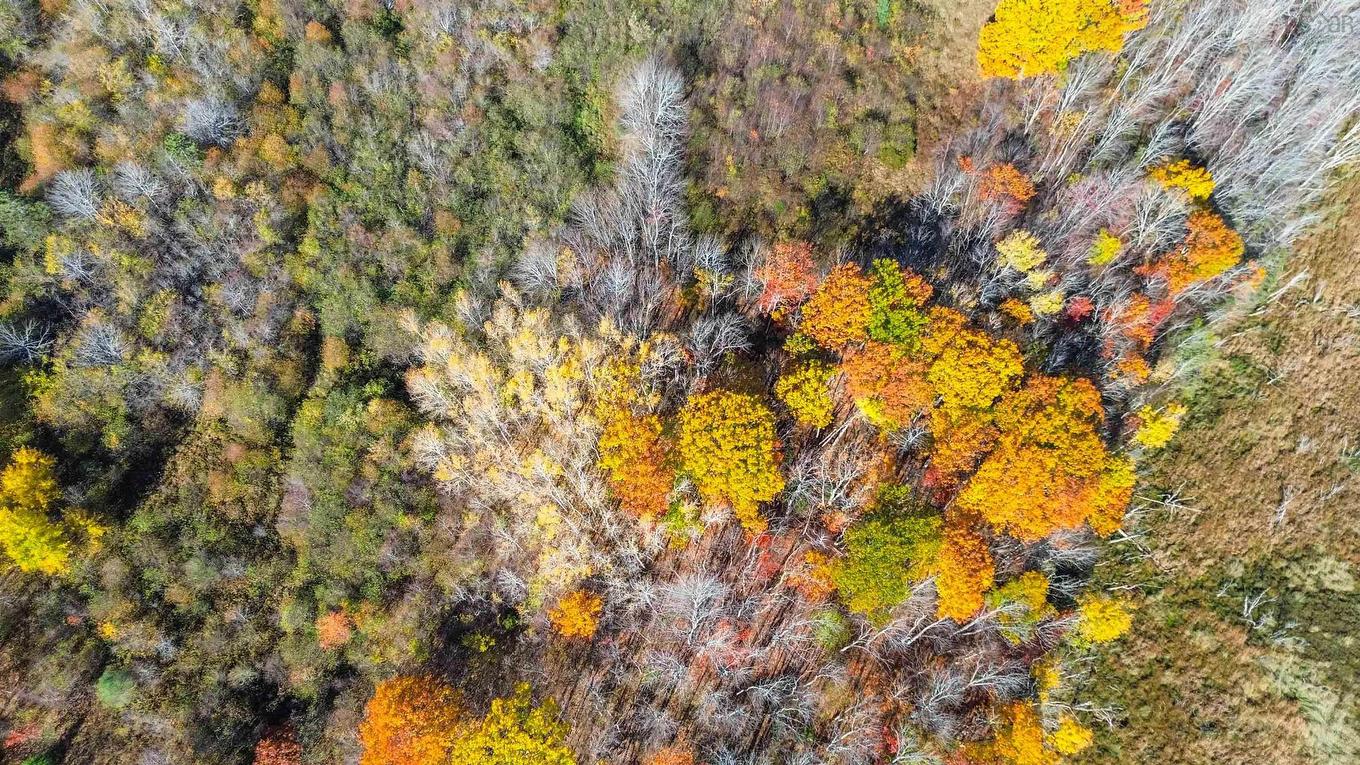 Lot A2 Mccully Crescent, Hantsport, NS