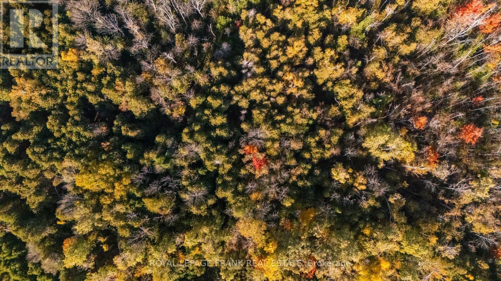 740 Mount Horeb Road, Kawartha Lakes (Manvers), ON