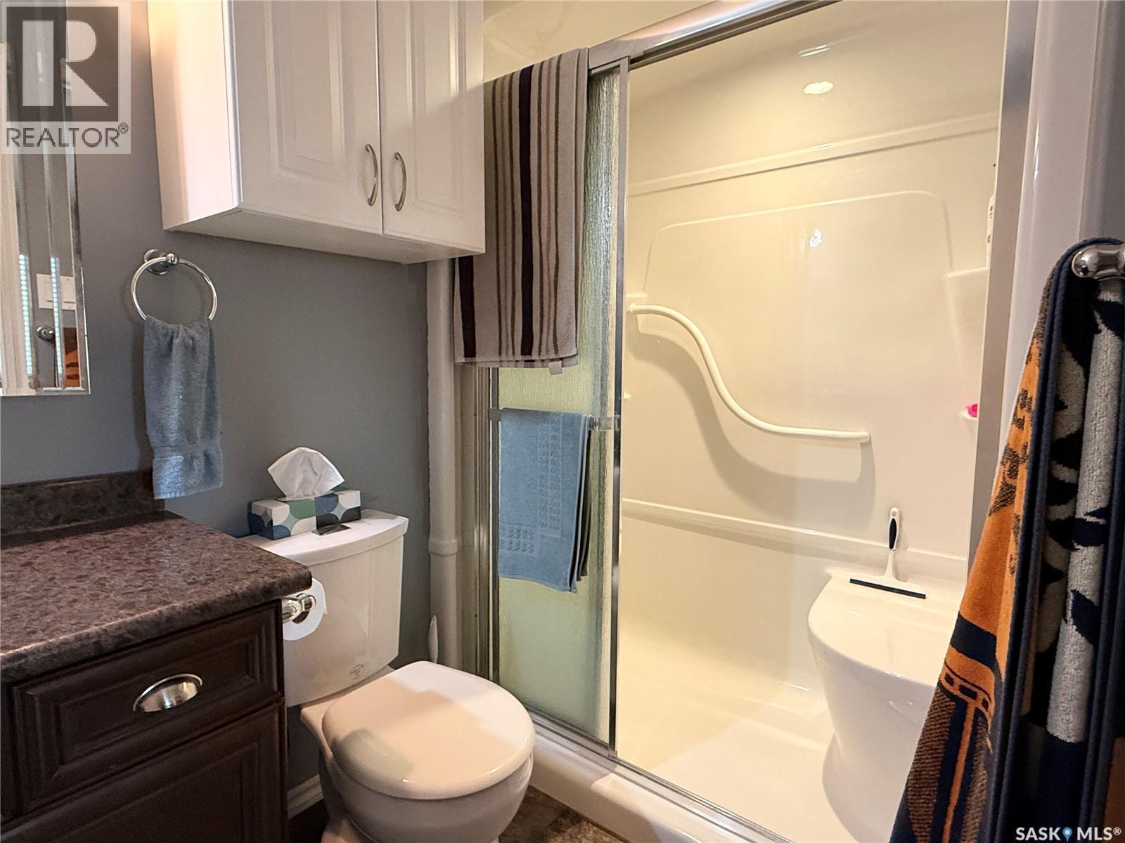 119 Martin Street, Sedley, SK - Indoor Photo Showing Bathroom