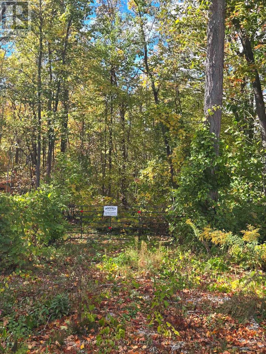 414 Limerick Street, Innisfil, ON