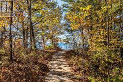 paths to the water -