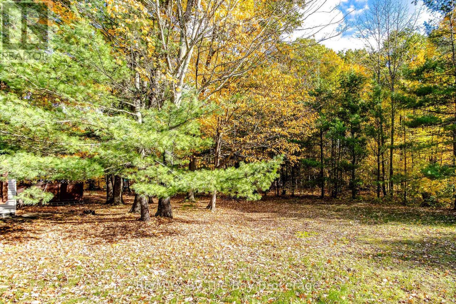 backyard - 57 Tall Pines Drive, Tiny, ON - Outdoor