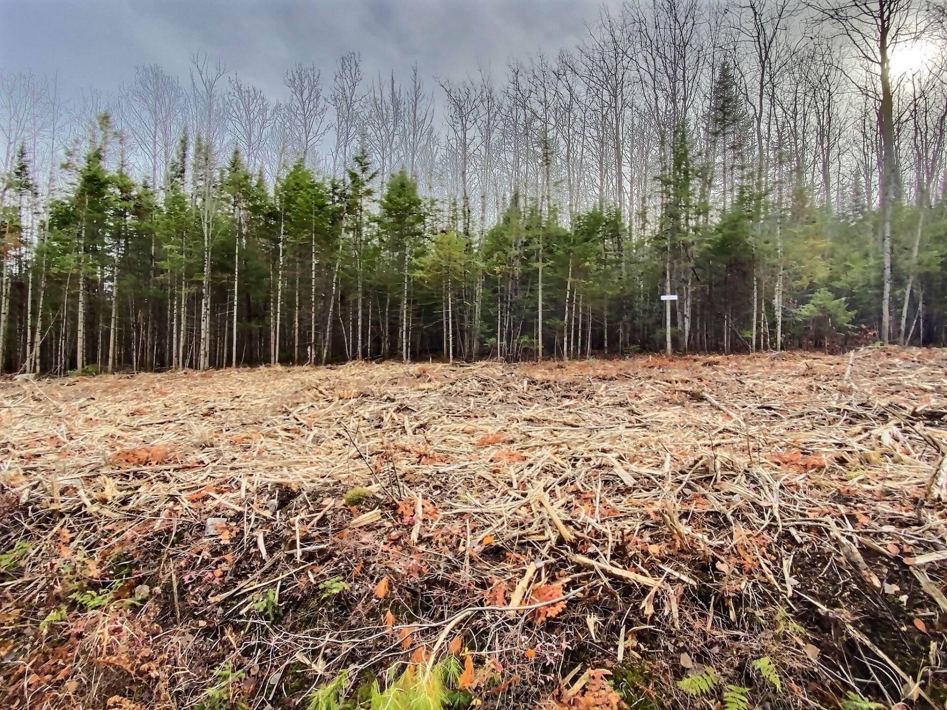 Lot - 5E Rang, Adstock, QC