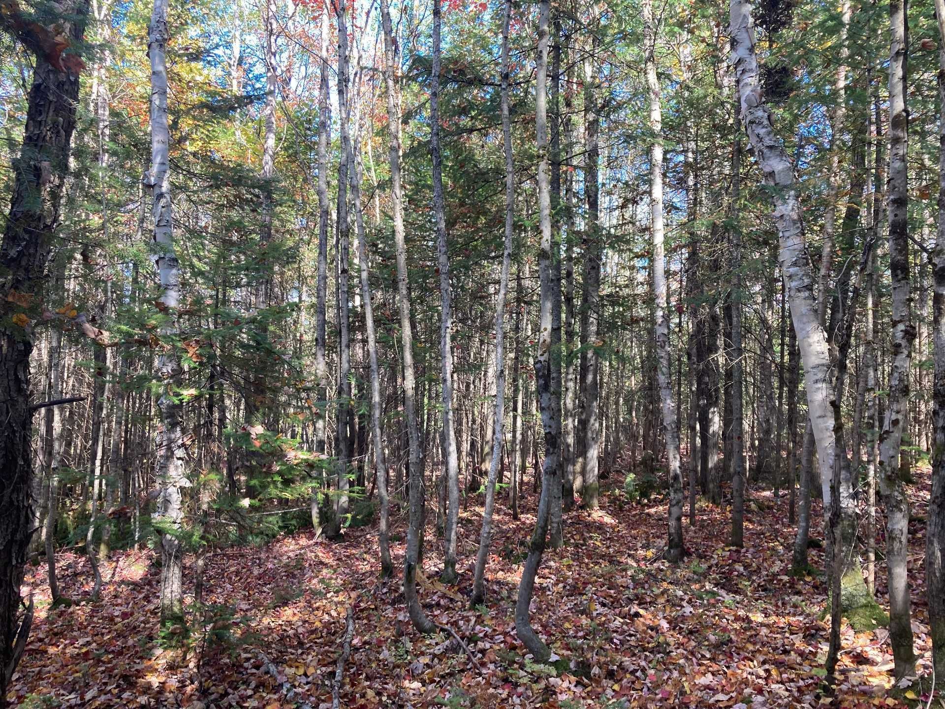 Lot - 5E Rang, Adstock, QC