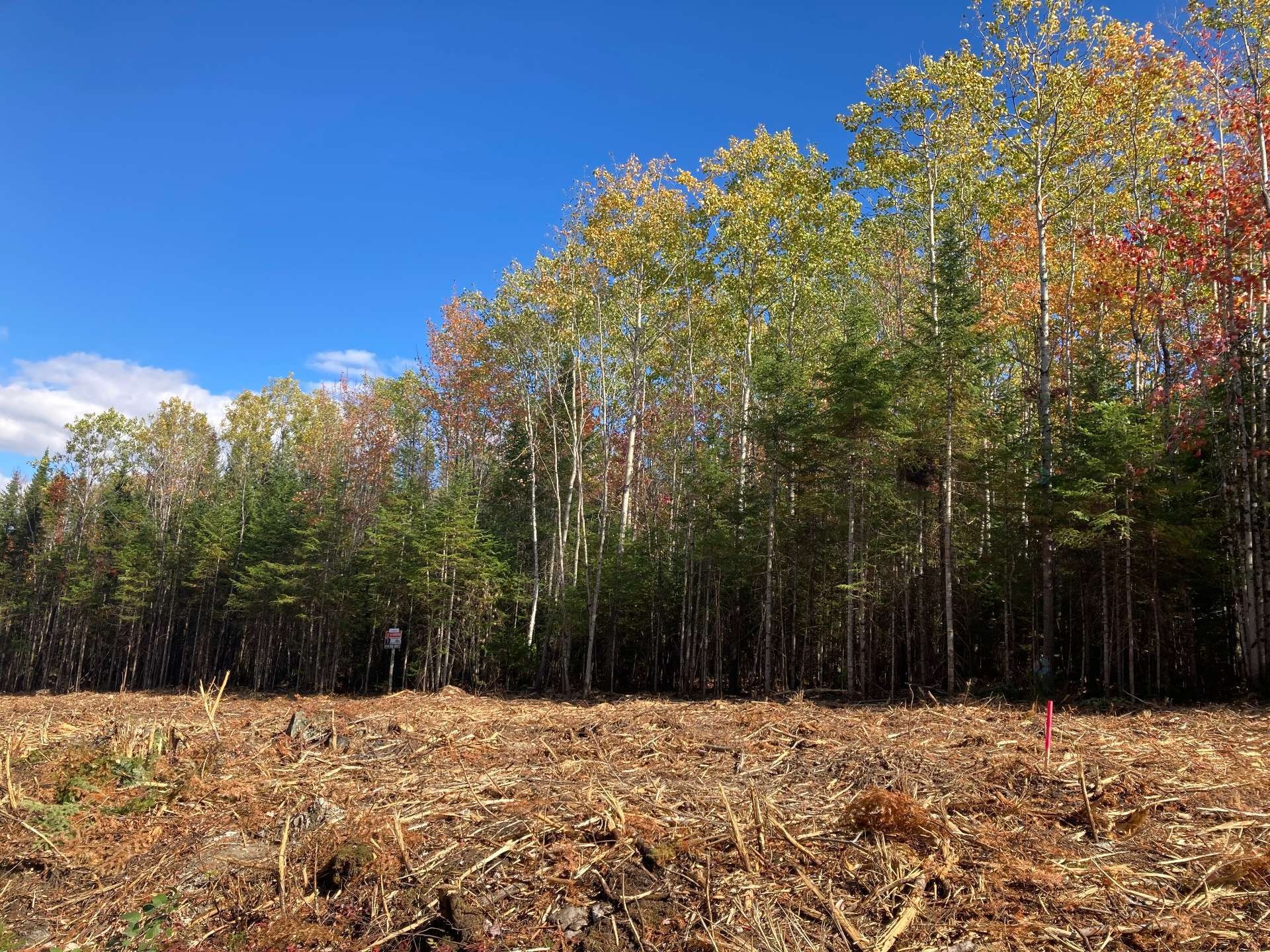 Lot - 5E Rang, Adstock, QC