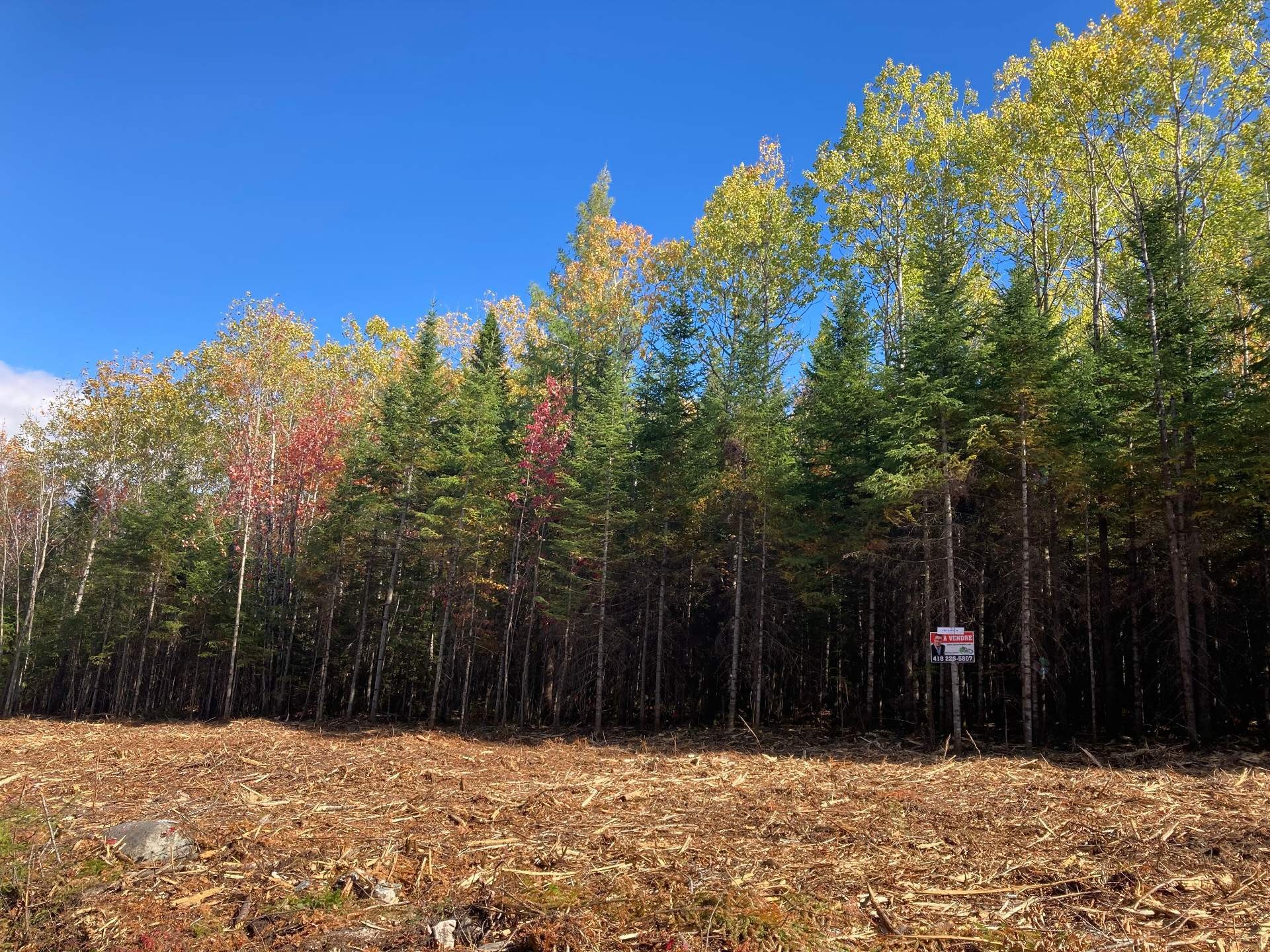 Lot - 5E Rang, Adstock, QC