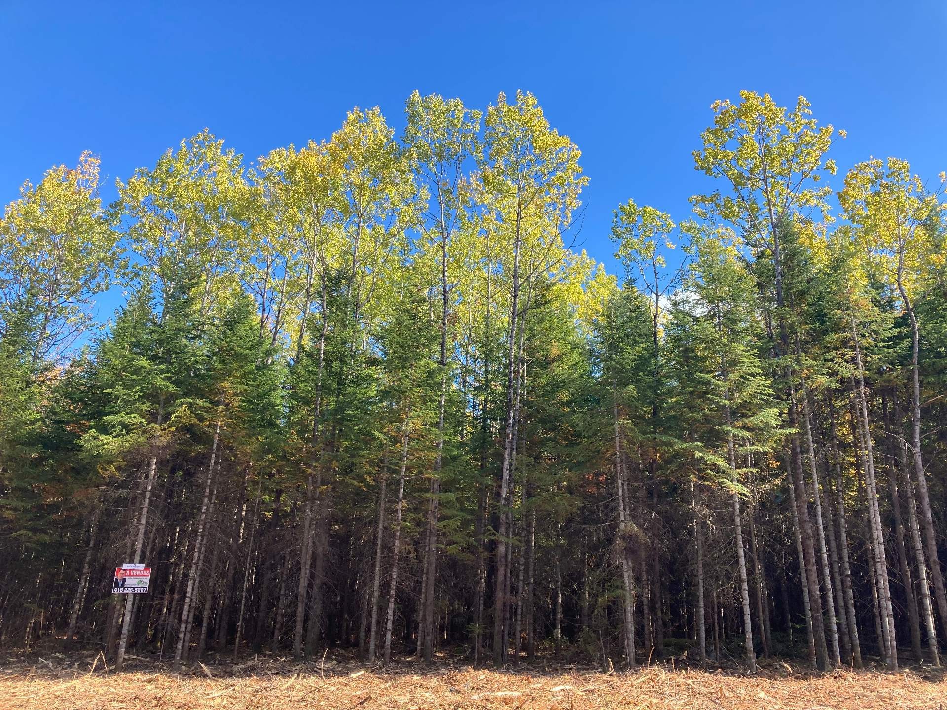 Lot - 5E Rang, Adstock, QC