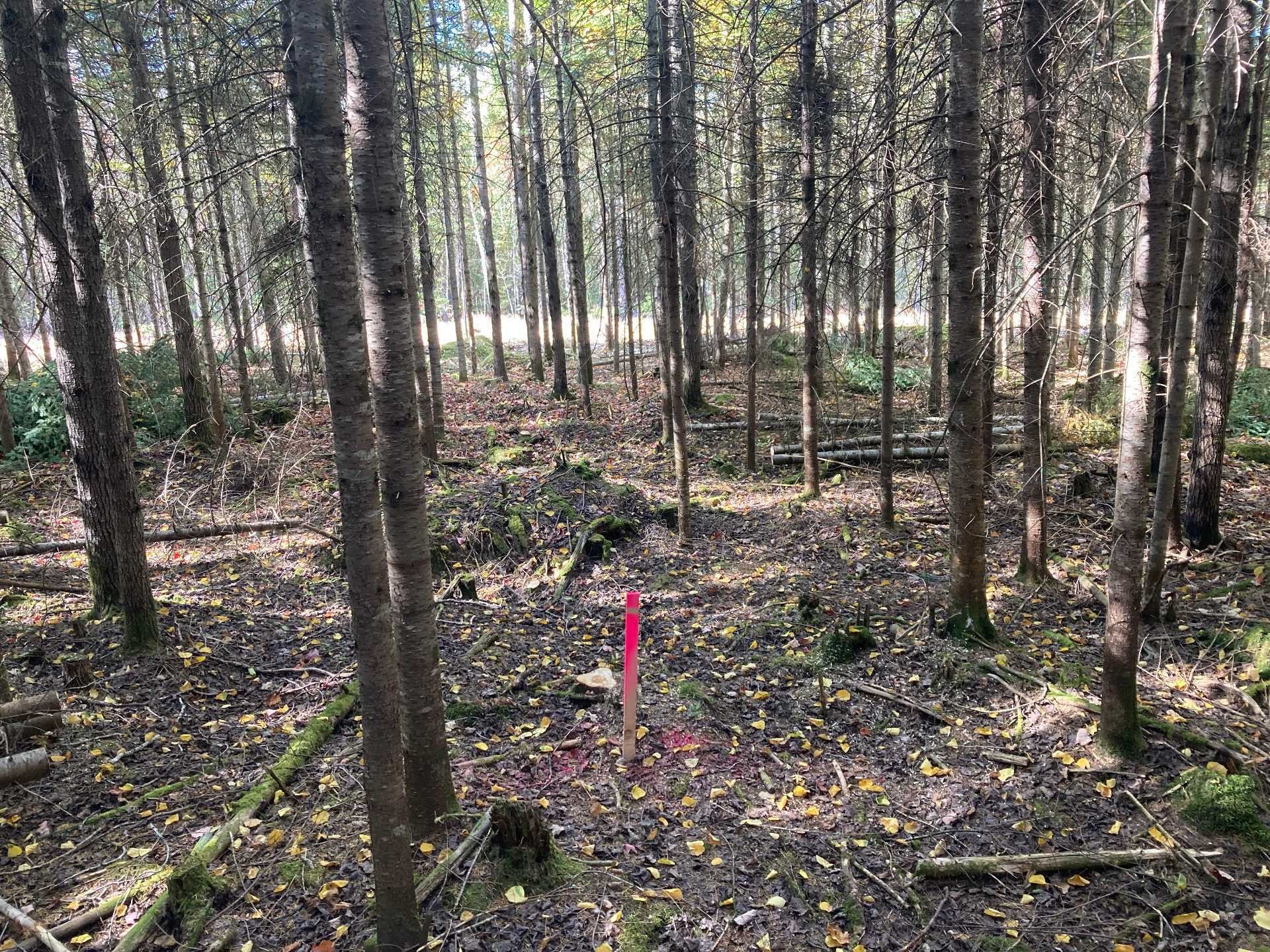 Lot - 5E Rang, Adstock, QC